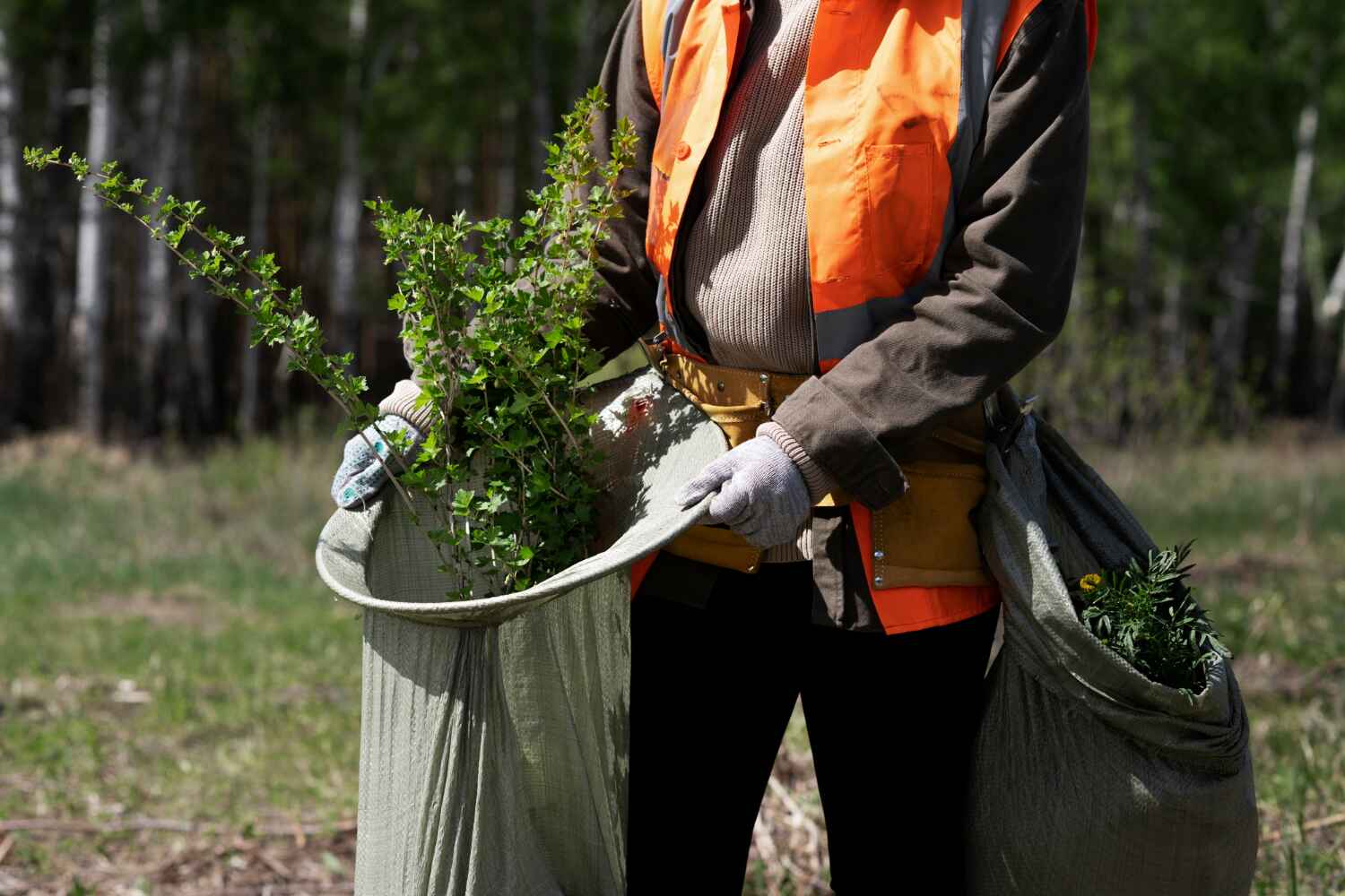 Best Tree Trimming Near Me  in Poinciana, FL